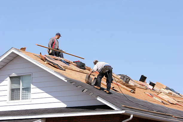 Best Chimney Flashing Repair  in Polo, IL