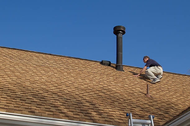 Best Rubber Roofing (EPDM, TPO)  in Polo, IL